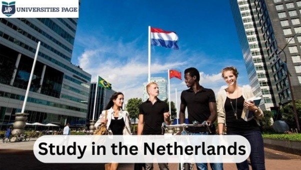 study in Netherlands